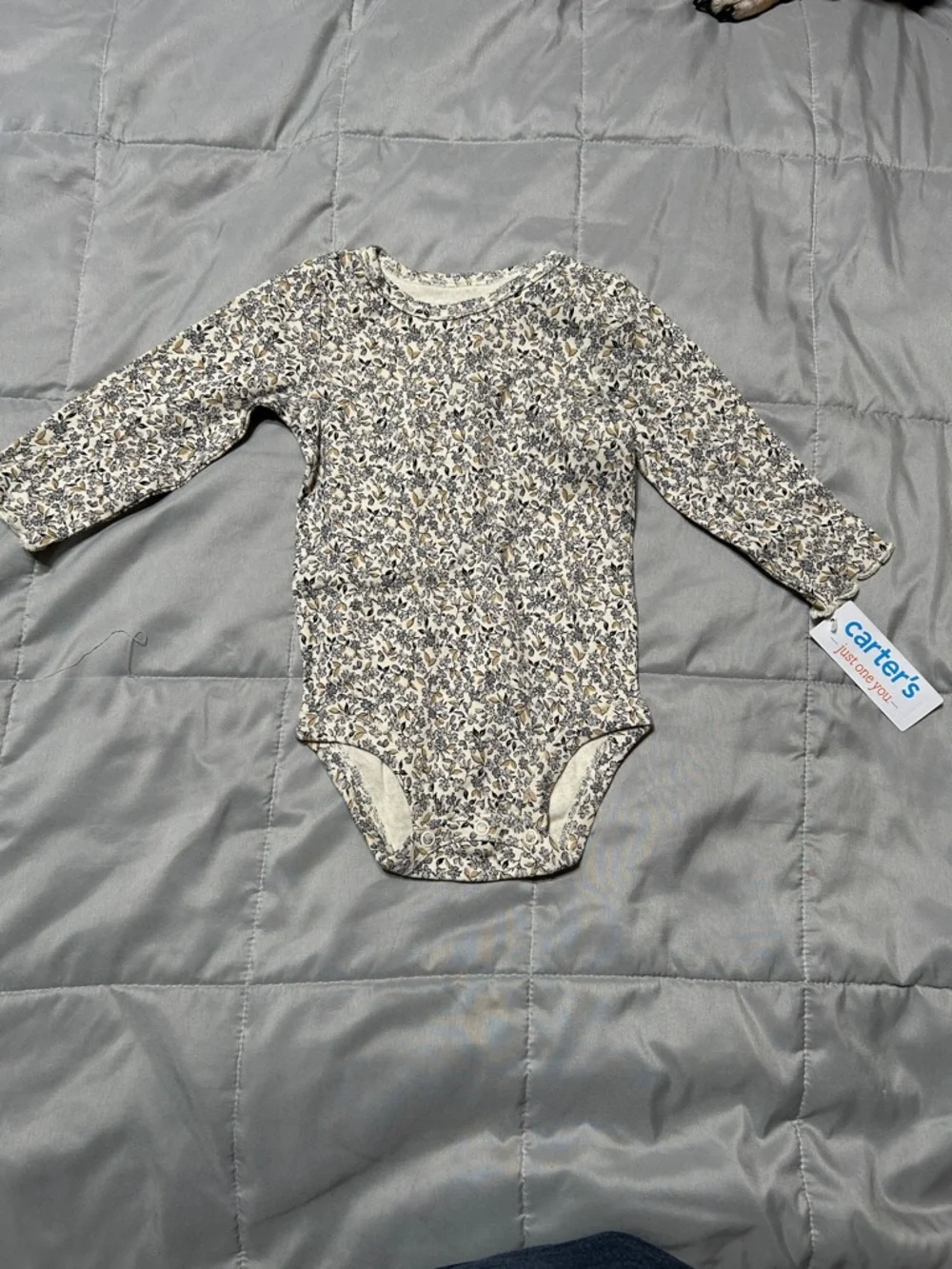 Carter's Long-Sleeve Floral Baby One-Piece in Cream and Gray